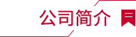 公司簡介