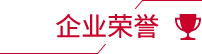 企業(yè)榮譽(yù)
