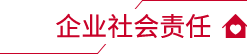 企業(yè)社會責(zé)任