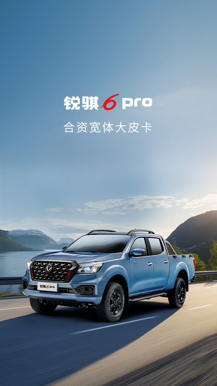 銳騏6 pro